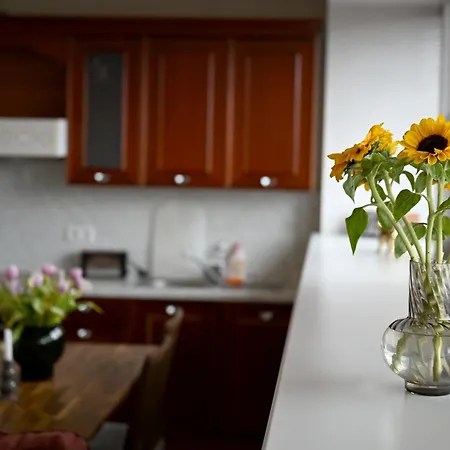 2-story Penthouse With Private Sauna, Seaview Terrace & Two Bathrooms Appartamento Reval